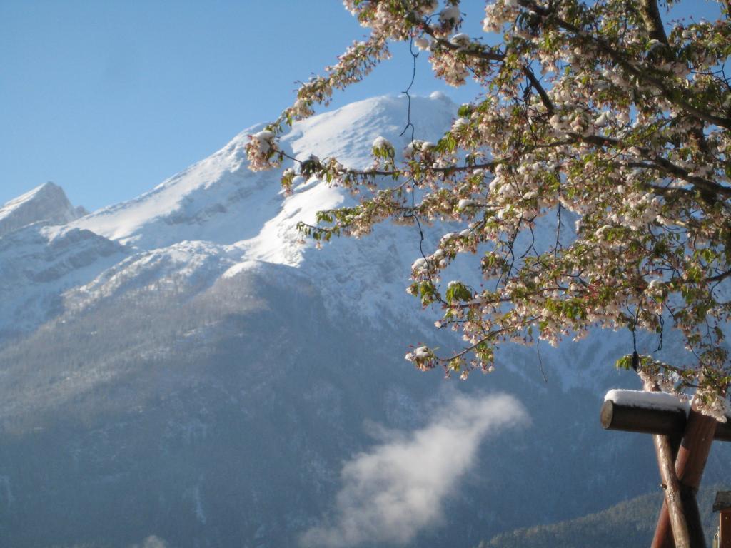 Hotel-Gasthof Nutzkaser Ramsau bei Berchtesgaden ภายนอก รูปภาพ