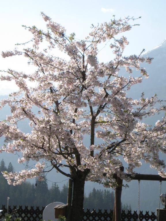 Hotel-Gasthof Nutzkaser Ramsau bei Berchtesgaden ภายนอก รูปภาพ